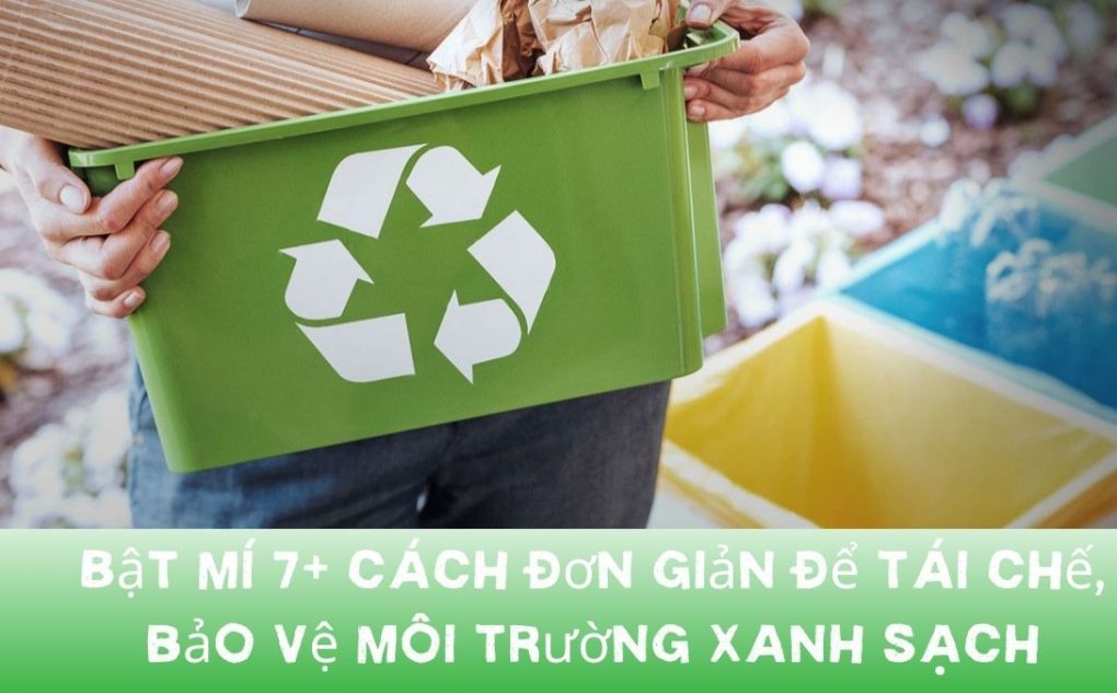 Bật mí 7+ cách đơn giản để tái chế, bảo vệ môi trường xanh sạch