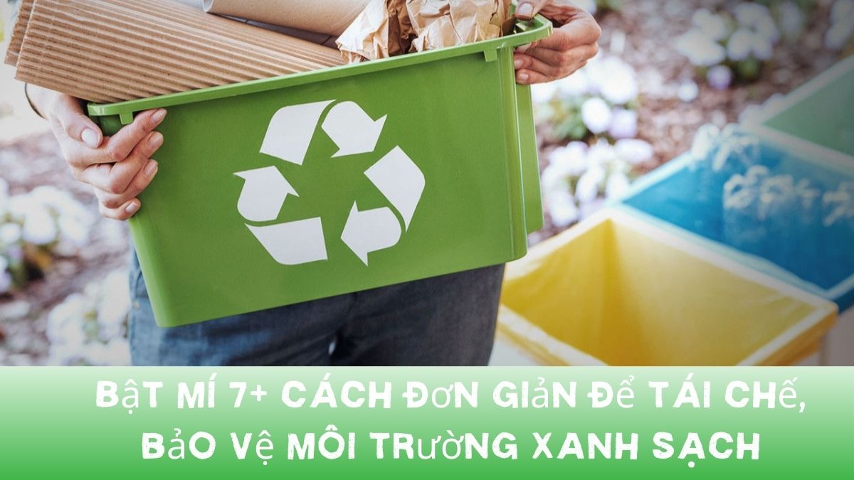 Bật mí 7+ cách đơn giản để tái chế, bảo vệ môi trường xanh sạch