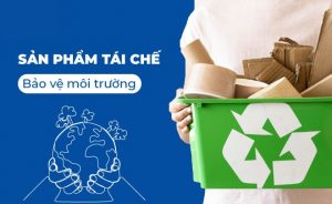 môi trường và tái chế